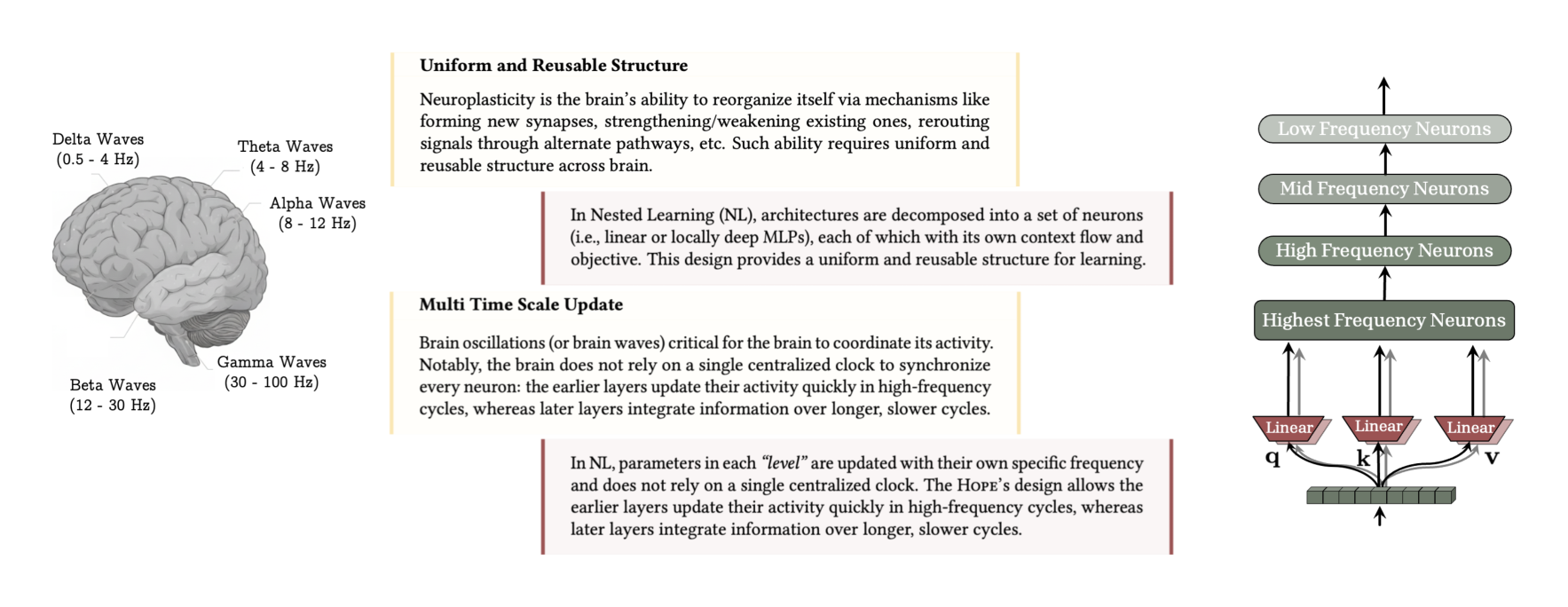 Figure 1: The uniform and reusable structure as well as multi time scale update in the brain are the