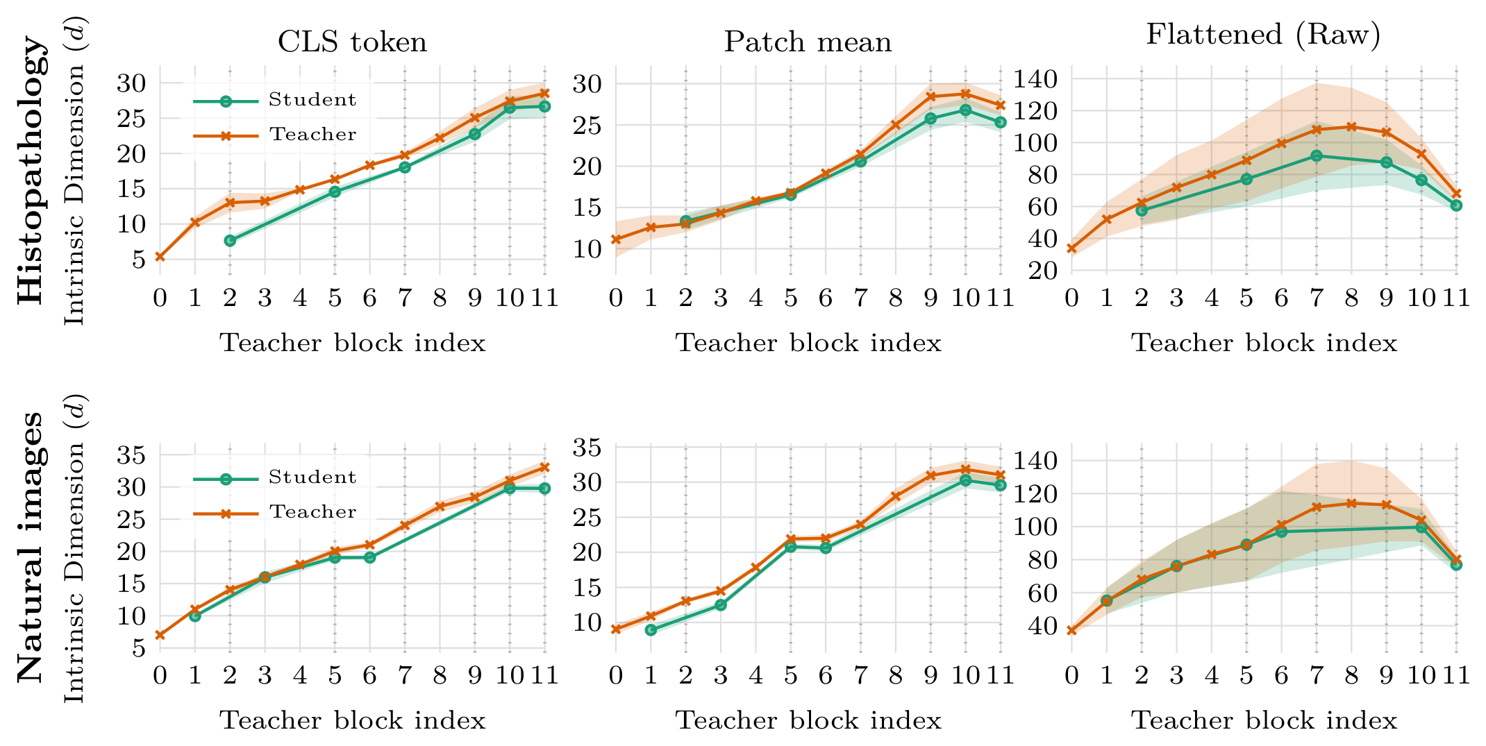 **Figure 5:** **Intrinsic dimension (ID) trajectory comparison.** ID ($d$) estimated via the Two-NN estimator across H0-mini (top) and DINOv2 (bottom). We compare the IDs of: the global class (CLS) token (left), the spatially averaged patch tokens (centre), and the raw, unpooled sequence of all tokens flattened into a single vector (right). In the histopathology setting, the student closely tracks the teacher's manifold trajectory while exhibiting markedly lower variance. This regularisation effect is not present in natural images, where student and teacher variance remain comparable, suggesting that the variance reduction is specific to the domain-specialised distillation regime. Shaded bands denote $\pm 1$ standard deviation across random seeds and data augmentations.