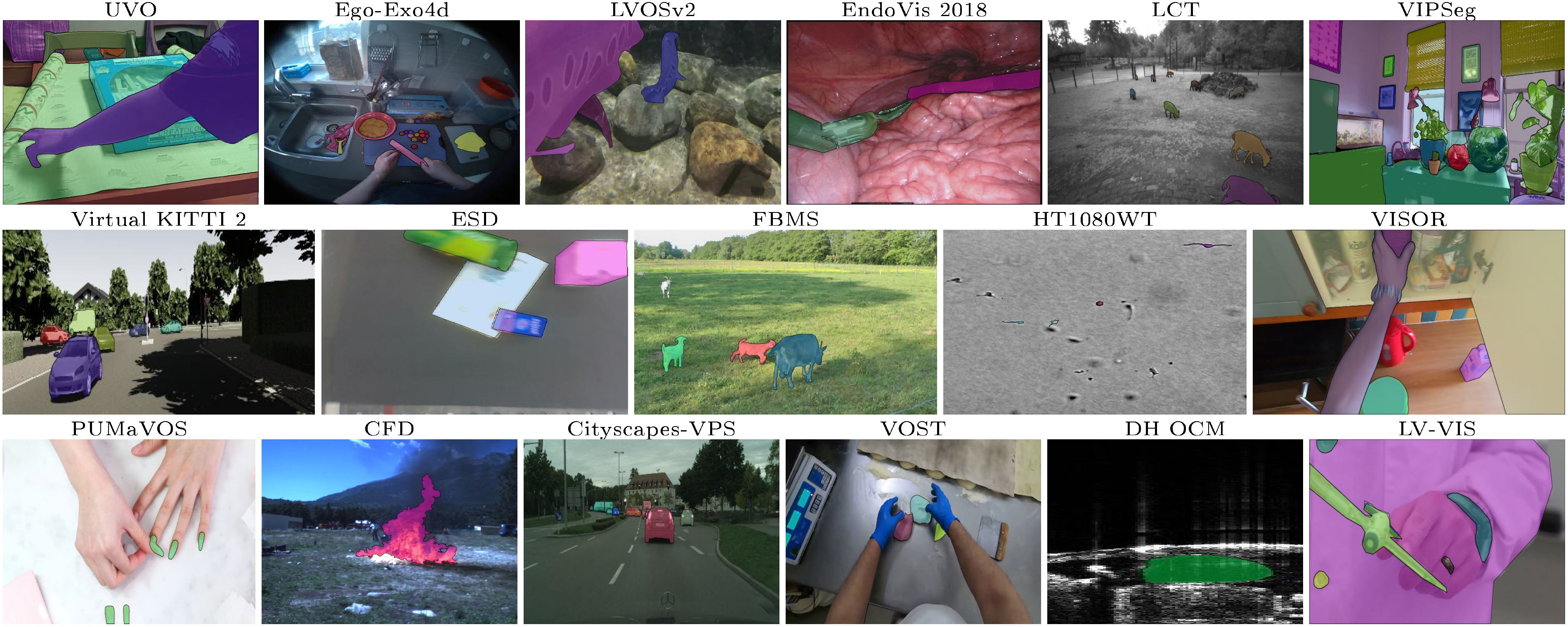 **Figure 17:** Examples from SAM 2 zero-shot video benchmark suite.