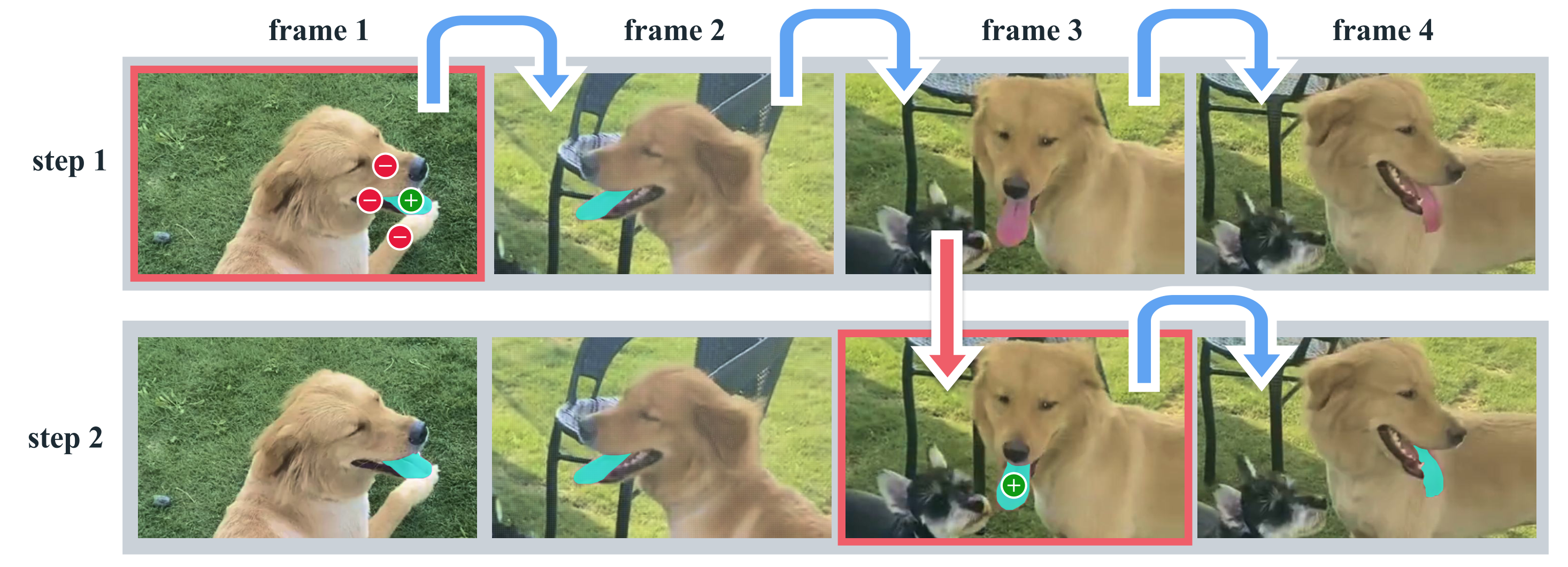 **Figure 2:** Interactive segmentation with SAM 2. Step 1 (selection): we prompt SAM 2 in frame 1 to obtain the segment of the target object (the tongue). Green/red dots indicate positive/negative prompts respectively. SAM 2 automatically propagates the segment to the following frames (blue arrows) to form a *masklet*. If SAM 2 loses the object (after frame 2), we can correct the masklet by providing an additional prompt in a new frame (red arrow). Step 2 (refinement): a single click in frame 3 is sufficient to recover the object and propagate it to obtain the correct masklet. A decoupled SAM + video tracker approach would require several clicks in frame 3 (as in frame 1) to correctly re-annotate the object as the segmentation is restarted from scratch. With SAM 2's memory, a single click can recover the tongue.