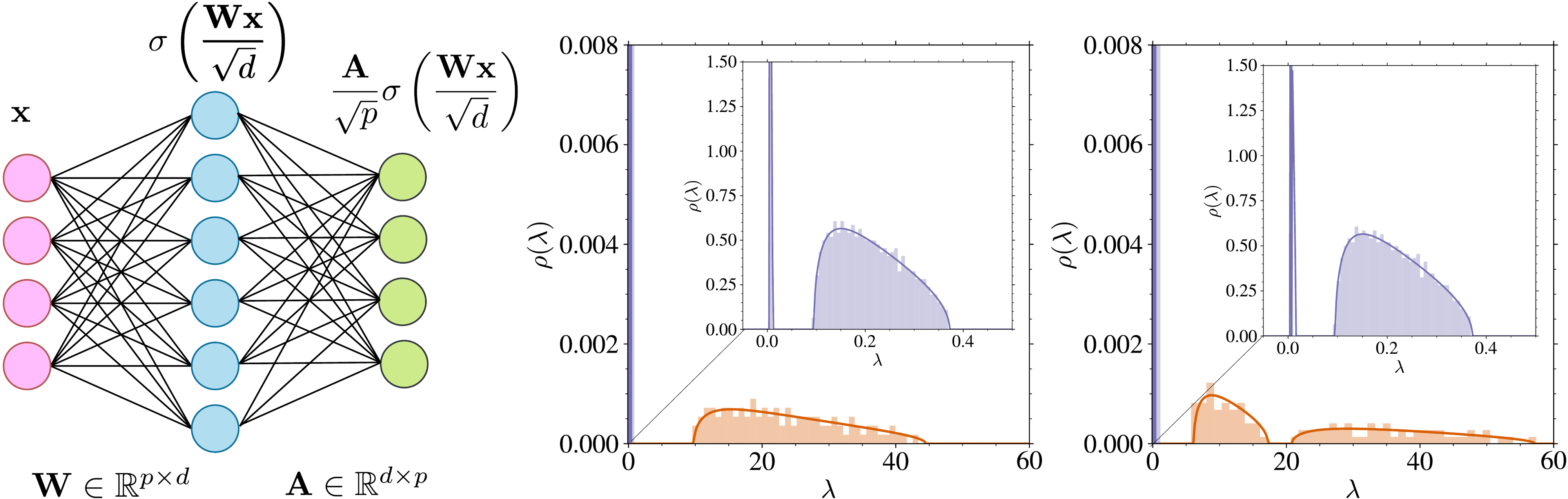 **Figure 4:** (*Left*) **Illustration of an RFNN.** (*Middle/Right*) **Spectrum of $\bm{\mathrm{U}}$.** Density $\rho(\lambda)$ from Theorem 1 in the overparameterized Regime I described in Theorem 2, with $\psi_p = 64$, $\psi_n = 8$, $t = 0.01$, and $\rho_{\boldsymbol{\Sigma}}(\lambda)=\delta(\lambda-1)$. The bulk of the spectrum (orange) is between $\lambda\approx10$ and $\lambda\approx45$. The histogram shows the eigenvalues from a single realization of $\bm{\mathrm{U}}$ at $d = 100$. Inset: zoom near $\lambda = 0$ (in blue) showing the first bulk $\rho_1$ and the delta peak at $\lambda = s_t^2$. (*Right*) Same as (*Middle*), but with $\rho_{\boldsymbol{\Sigma}}(\lambda) = \frac{1}{2}\delta(\lambda - 0.5) + \frac{1}{2}\delta(\lambda - 1.5)$. The first bulk in blue remains unchanged, as it depends only on $\sigma_{\bm{\mathrm{x}}}^2 = \operatorname{Tr}(\boldsymbol{\Sigma})/d = 1$ in both cases, while the second bulk varies with $\boldsymbol{\Sigma}$.